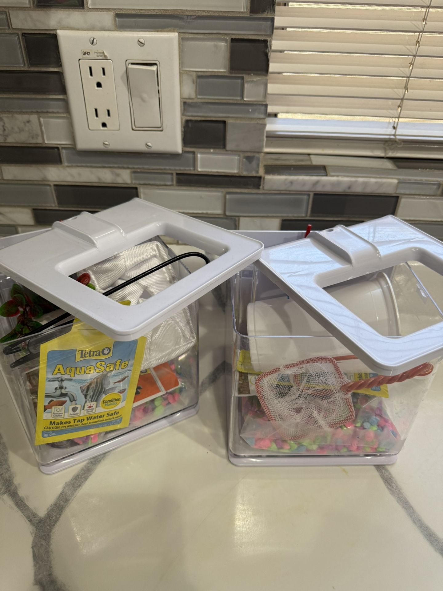 Beta Fish Tank