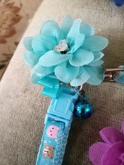 Dog Accessories And Leash Holder 