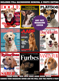 Any pet magazine cover