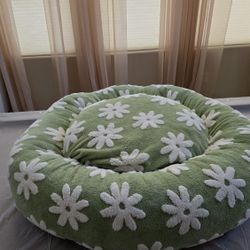 New Pet Bed 