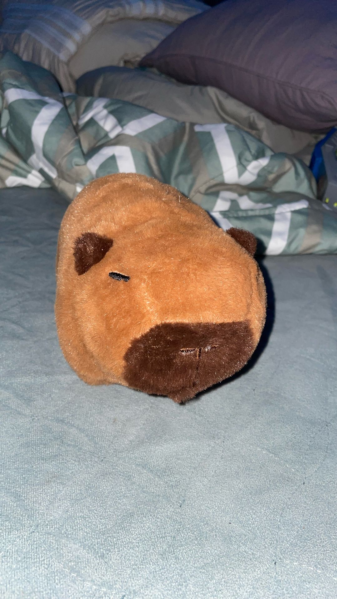 Medium Sized Capybara Plushie