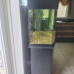 55 Gallon Fish Tank