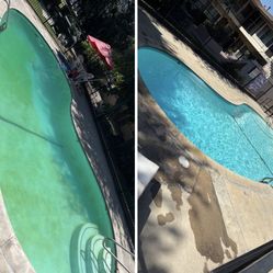 Green Pool Cleaning 