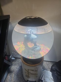 Bonita Pecera Con Ermksk Pes Betta