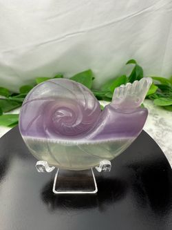 Crystal Fluorite Ammonite Carving