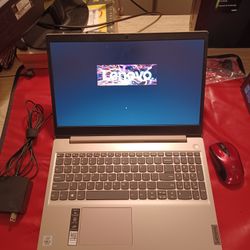 Lenovo IdeaPad 3 (Model 15ILL05) - 10th Gen Core i5, 12 GB RAM, 500 GB SSD