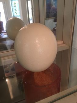 TWO SOUTH AFRICAN OSTRICH EGGS