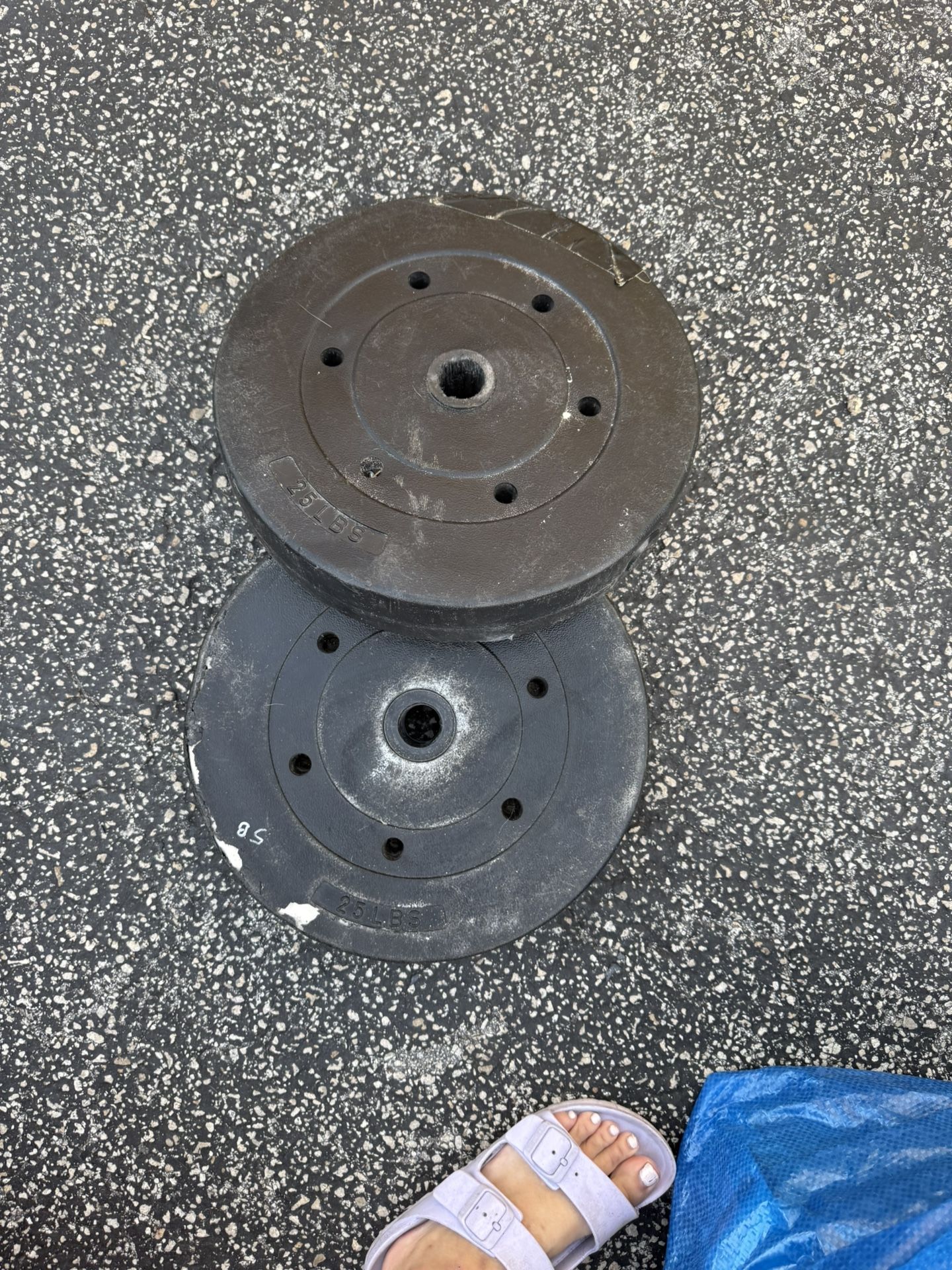 2 25lb Weight Plate