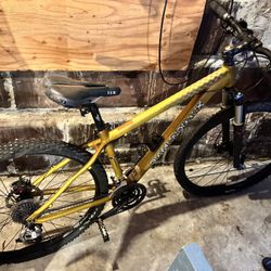 Diamondback Overdrive Pro