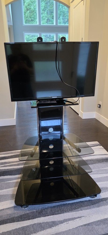 FREE TV Stand and Samsung TV