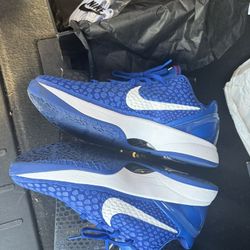 Nike Kobe Blue Shoe 