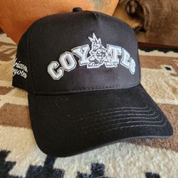 Arizona Coyotes Kachina Varsity Adjustable Hat 100% Cotton 