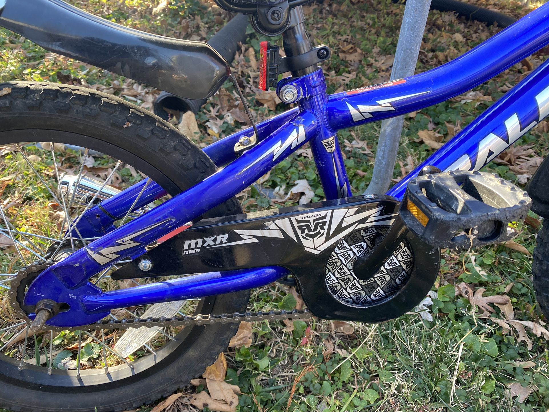 Raleigh Bike