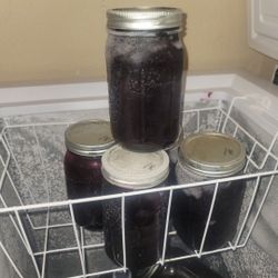 Elderberry Juice California Harvested 