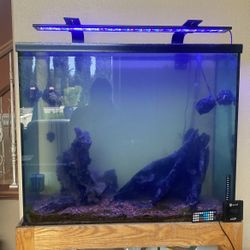 70 Gallon Aquaium