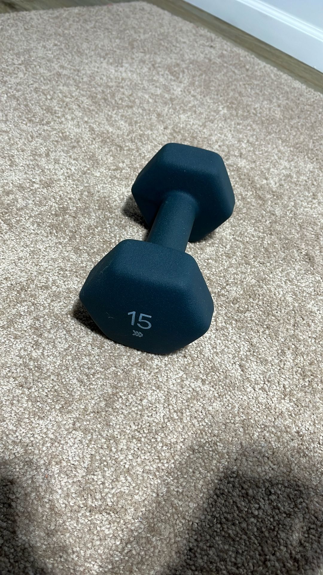 15 Pound Dumbbell