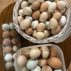 Fresh Organic Eggs 