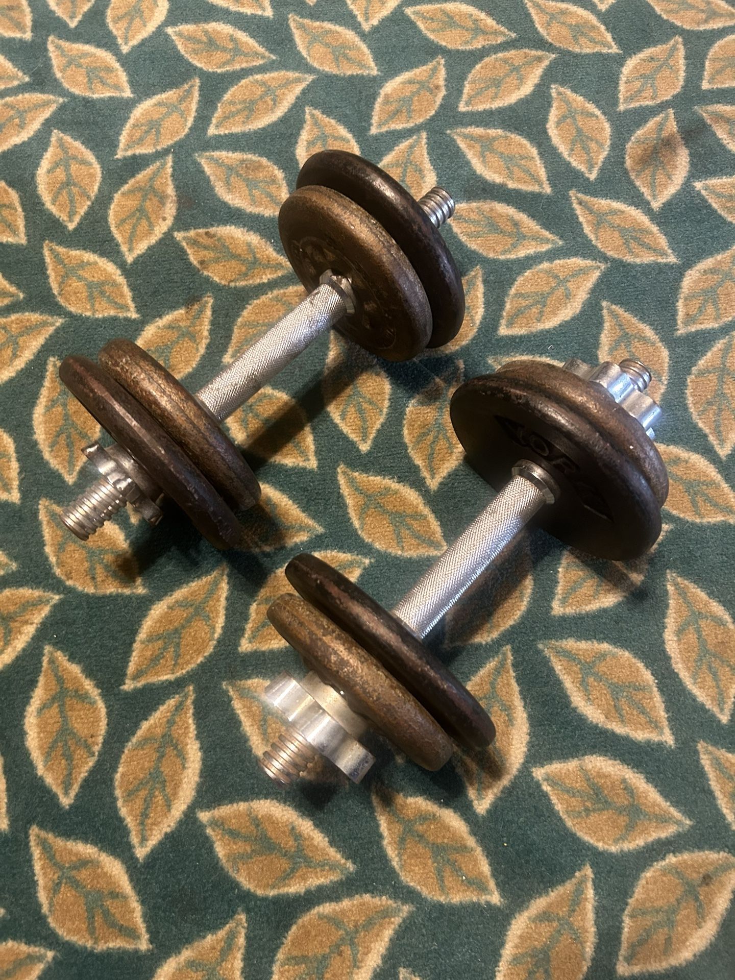 2x 20 lbs Dumbbells