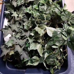Fake plants and greenery make offer