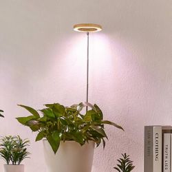 Indoor Walnut Wood Grain Lamp