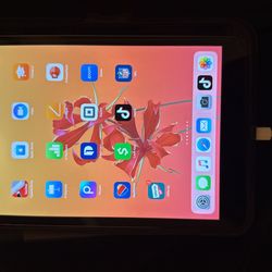 iPad Mini With TikTok Installed