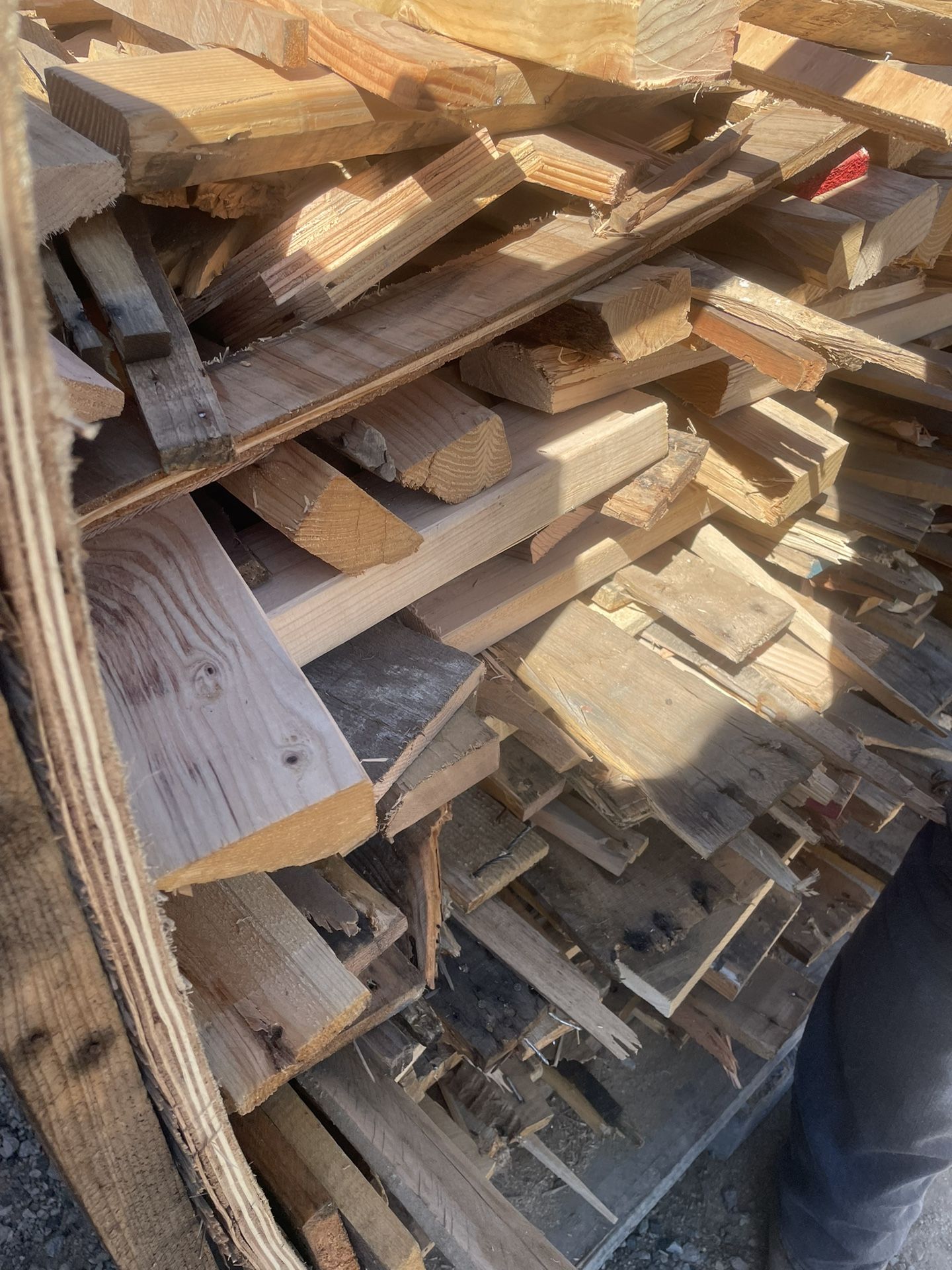 Wood For Fire 🔥 Or Other Projects Free