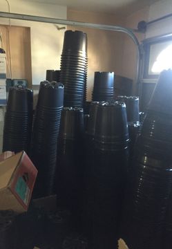 1, 2 , 3 , 5 and 15 gallon plastic nursery pots