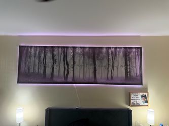 Canvas art with LEDs