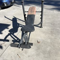 Work Out Bench