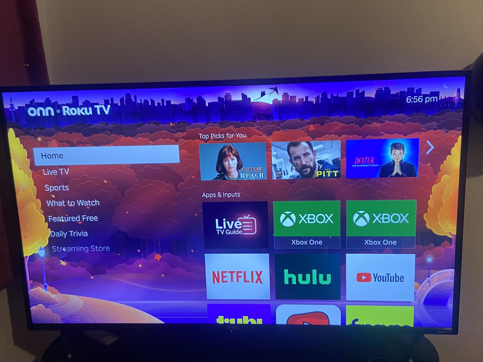 43 Inch Roku Tv