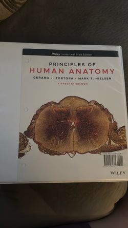 Anatomy