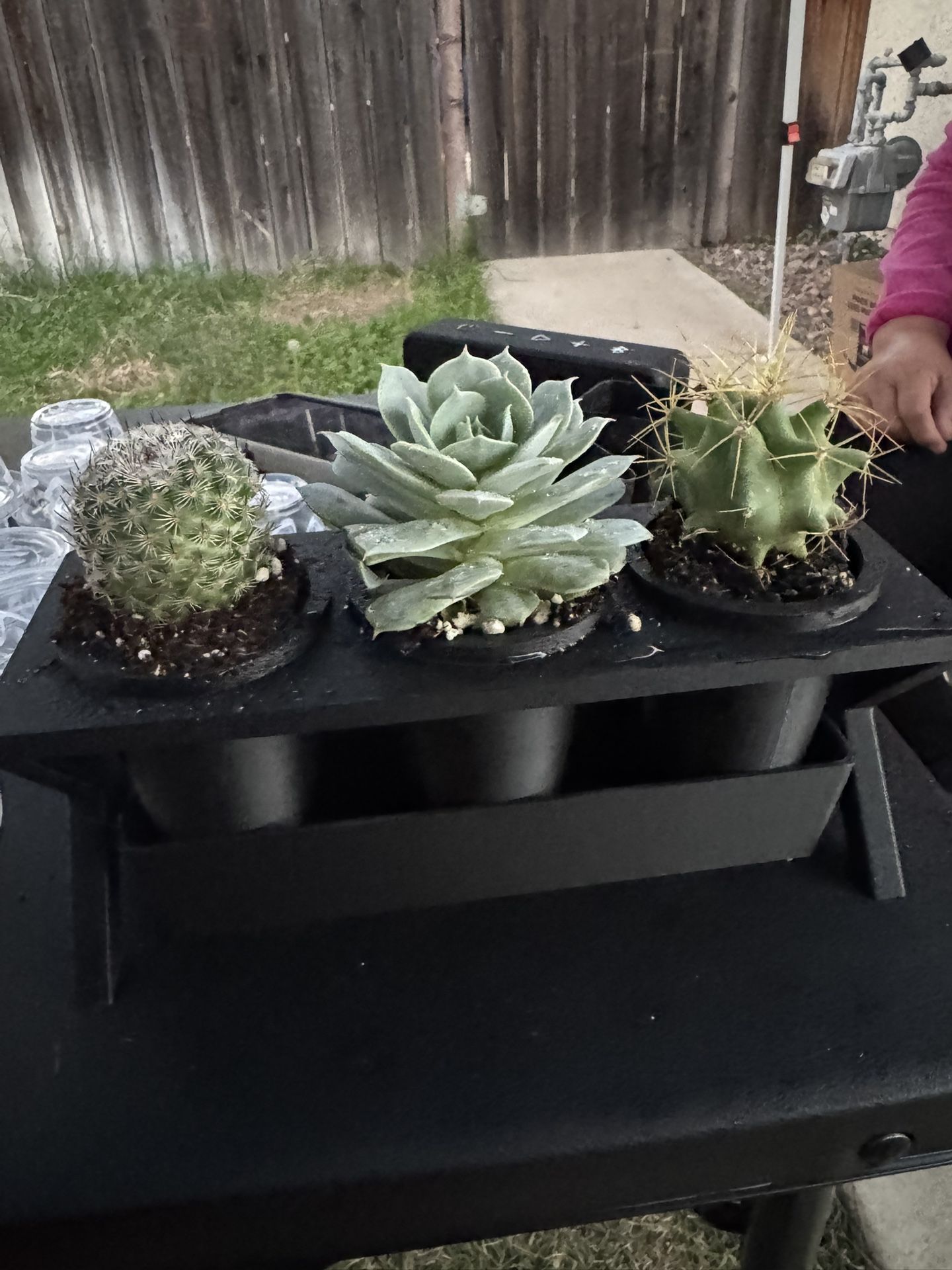 3D Printed Office desk planter