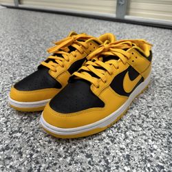 New Nike Dunks