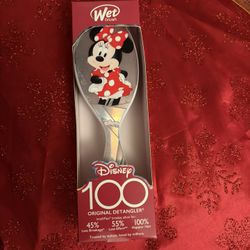 Wet Brush Minnie Mouse 