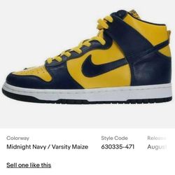 Nike Dunk Wolverine Used