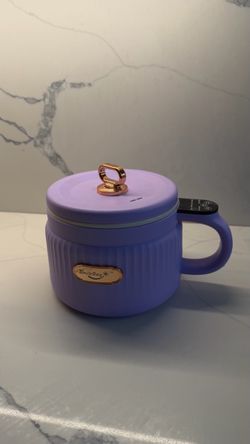 Electric Mini Cooking Pot / Noodle Cooker
