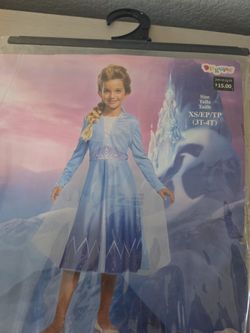 Elsa Costume Size 3T-4T
