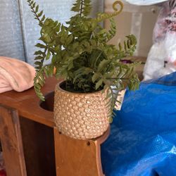 Fake Plant 