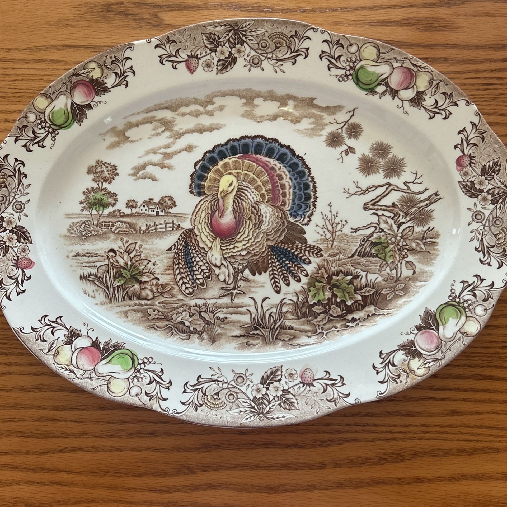 Vintage Turkey Platter