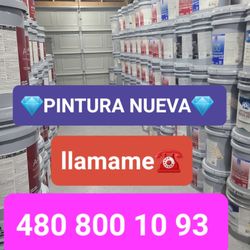 Paint For Sale 