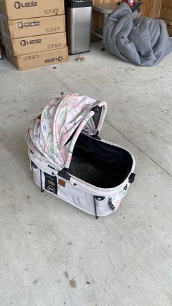 For dogs