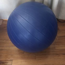 Blue Exercise Ball 65cm 