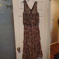 Various Woman's Dresses 