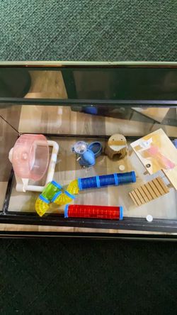 Hamster , reptilles, cage  or fish tank