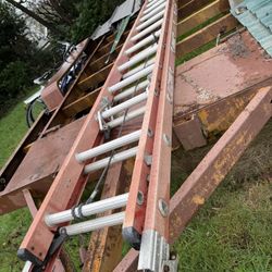 Heavy-Duty Extension Ladder – Works Great!