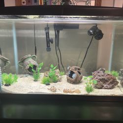 20 Gal Fish Tank 