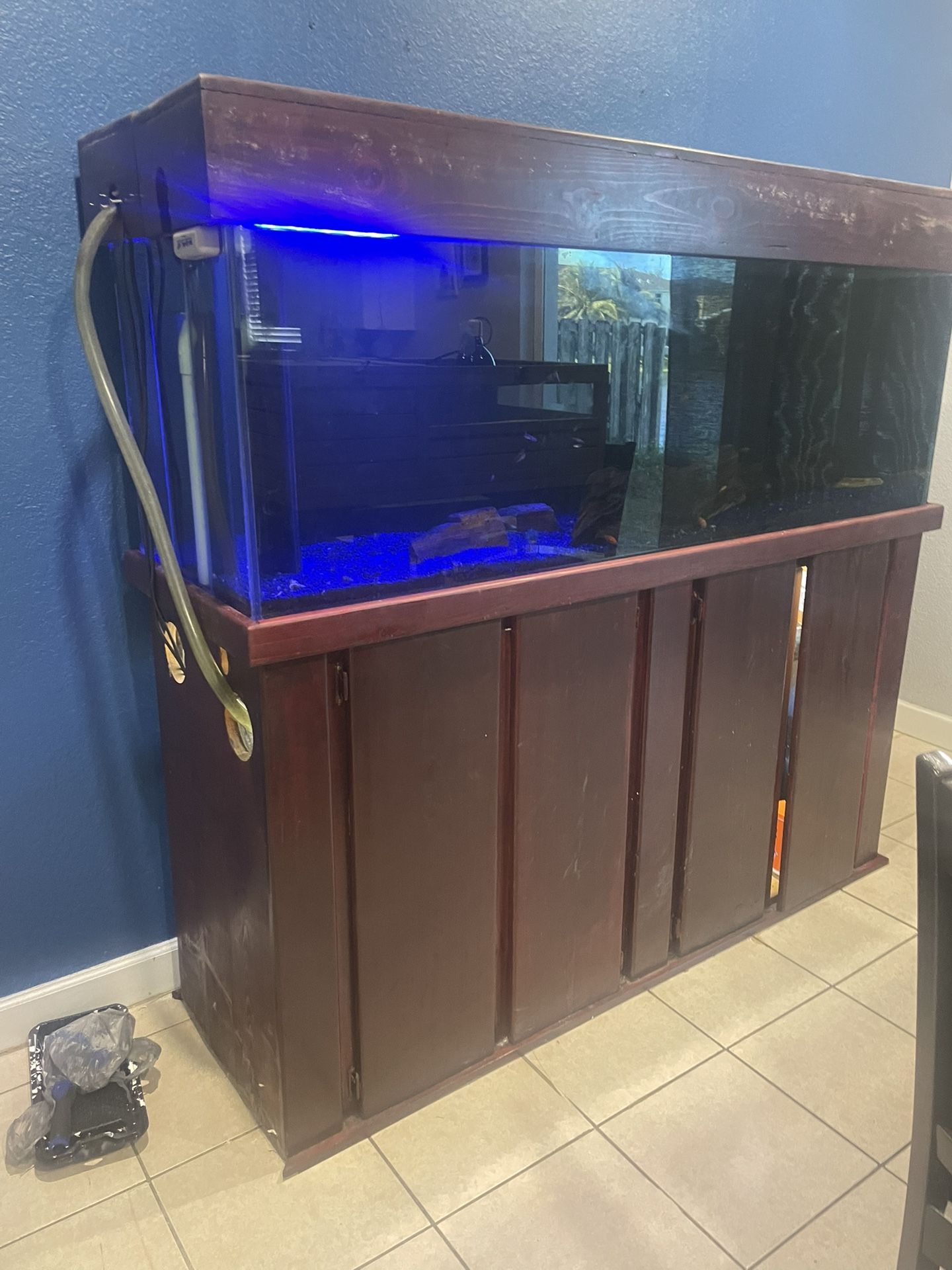 Tank for Fish Or Reptiles