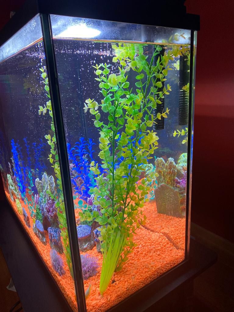 Fish Tank- 40 Gallons 