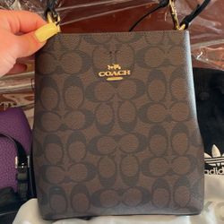 Coach Crossbody/Satchel