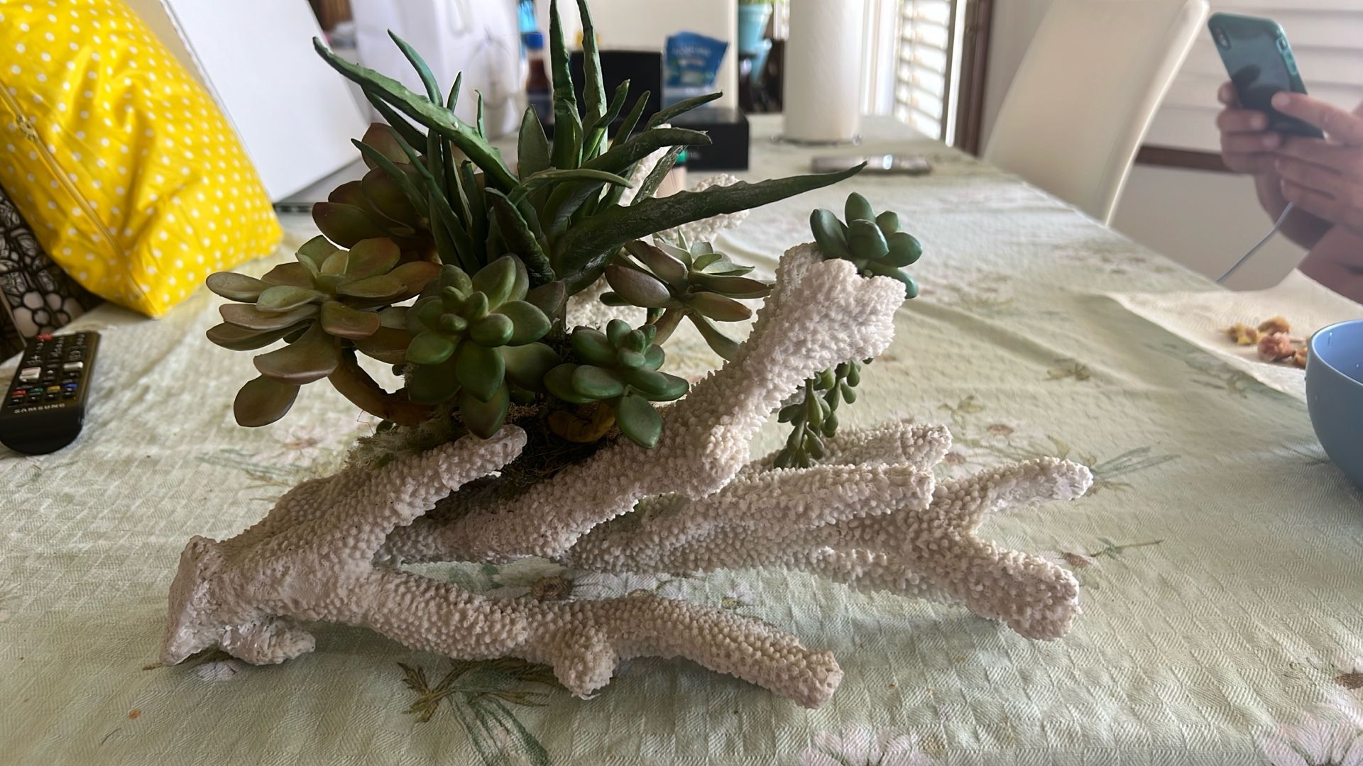 Plant On Shell Decoration
